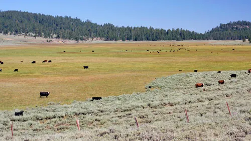 Ranchland in Oregon